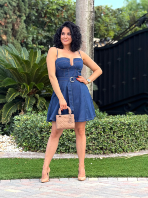 Ivys Denim Mini Dress